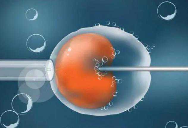47岁试管成功率有多大&供卵胚胎移植,清宫表准吗 据说准确率90%以上？