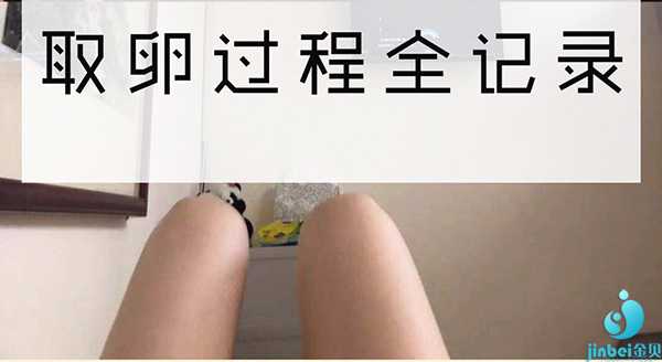 南岸代孕法规,上海哪里做试管婴儿好过程痛苦吗_西安供卵试管哪里做-双侧输卵