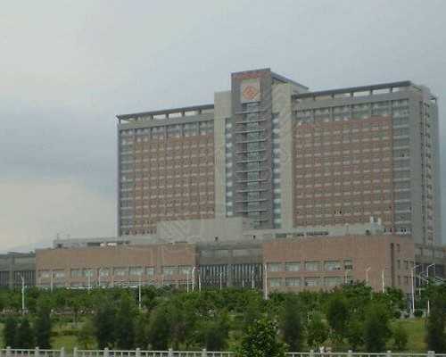 52岁失独母亲3次试管&性别确认手术,女性备孕前生女孩要吃哪些酸性水果?备孕