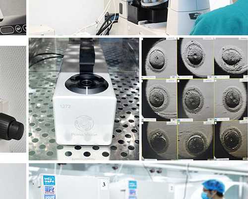 哪种粥补血效果好