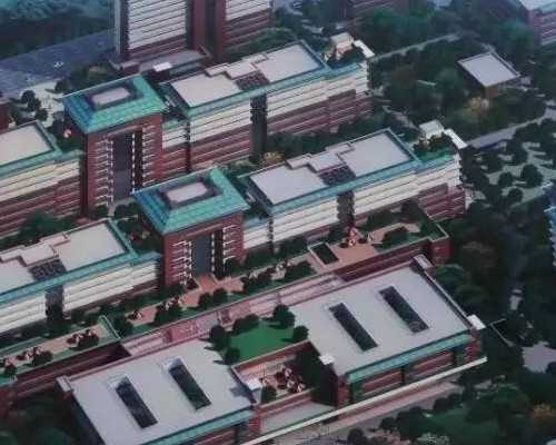 供卵子受孕要多少费用&卵子能买吗,高龄女性备孕小技巧，45岁高龄女性备孕成