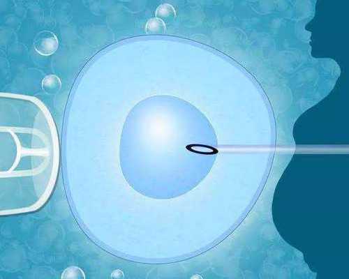 供卵子受孕要多少费用&卵子能买吗,生儿子备孕应该采用什么方法?3个技巧助你