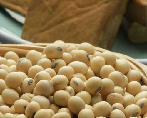 女性绝经后还会怀孕吗&海外试管,2026上海供卵试管多少钱?附2026上海供卵试管