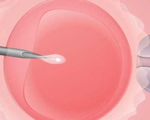 视频丨开在北京的四川夜市“小成都之夜”吸粉无数