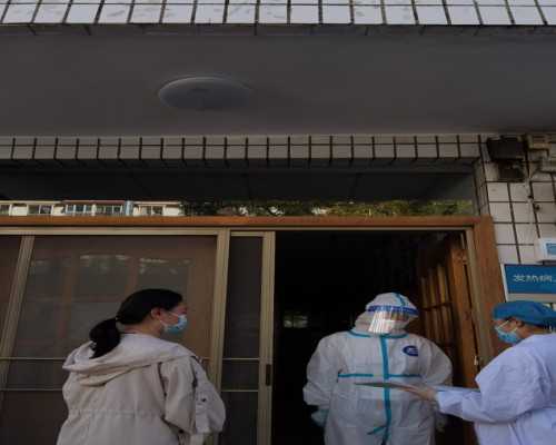 这种出现在唐诗中的植物，长在房顶上，还是城里人喜爱的多肉！