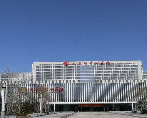 怎样备孕_育儿嫂中介公司,男性备孕时吃什么能提高精子质量？