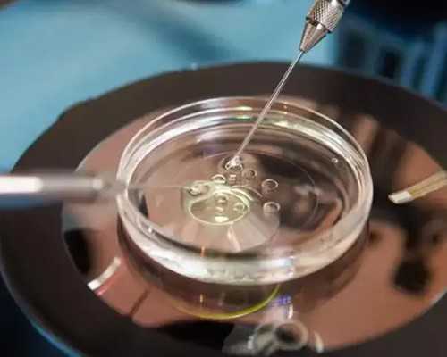 诸城妇幼保健院是三甲医院吗(黄河三门峡医院是三甲医院吗)