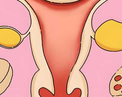 武汉代生公司在哪,武汉试管婴儿价格,武汉试管婴儿收费标准