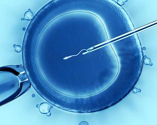 武汉代孕医院服务,武汉试管医院排名武汉哪里做试管比较好