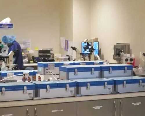 武汉好的供卵机构,武汉试管费用(武汉做试管费用需要多少)