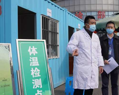 借卵武汉代生,借卵武汉代生