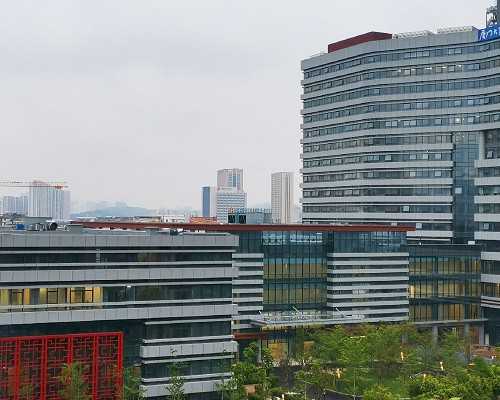 武汉能代孕的公司,武汉供卵三代生子,武汉供卵借腹生子