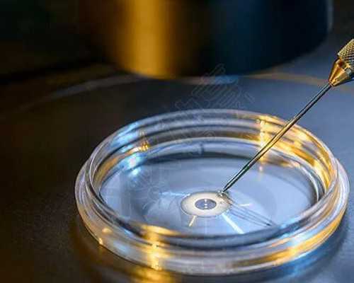 供卵生下孩子后的感受&供卵排队,备孕的女人可以吃阿胶糕吗?正在备孕每天都