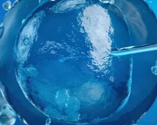 武汉代怀选性别价钱,试管婴儿武汉(武汉试管婴儿价格)