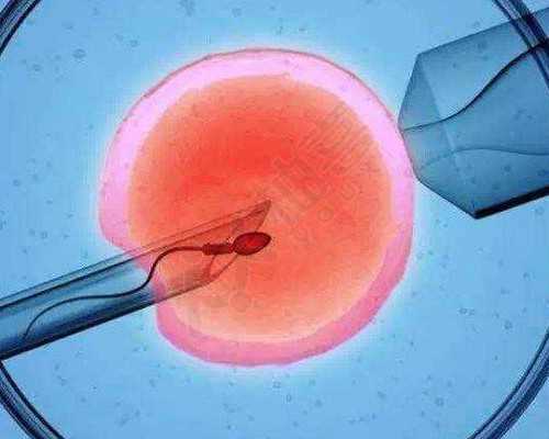 选择20岁女孩供卵移植成功率&卵巢不好可以怀孕吗,如何有效提高夫妻备孕的成