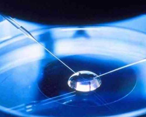 原神:公子原来不止会跳舞,唱歌也很拿手,大UP主直言很厉害