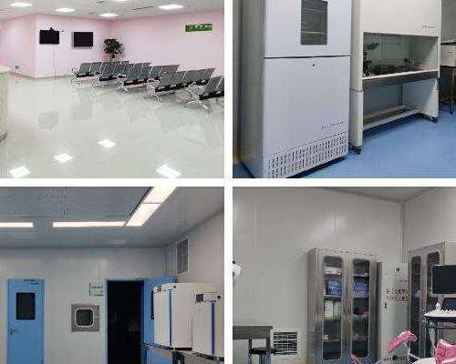 武汉有没有去代生的,武汉供卵春晖,武汉供卵试管