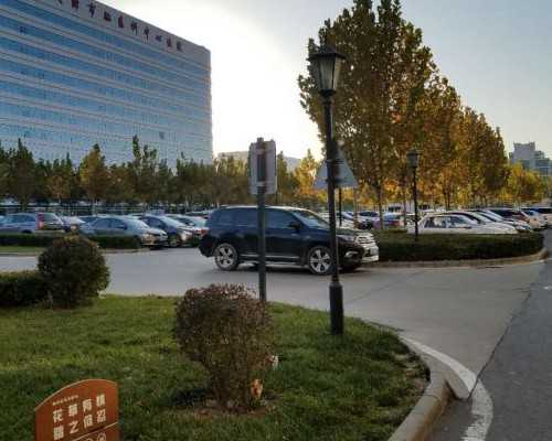 “蛇女妖”还是“蛇女人”?动画“蛇女”形象研究,中国动画发展