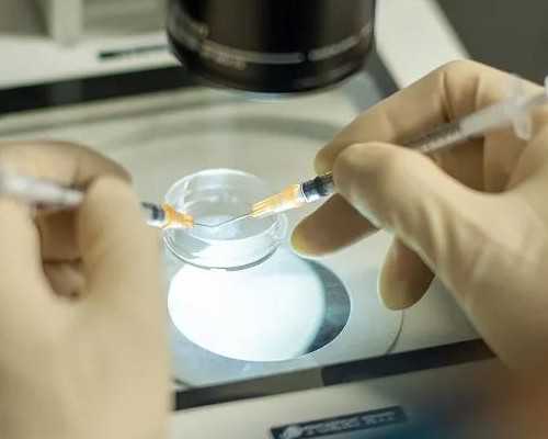 25岁卵巢早衰能艾灸吗&不用等的供卵医院,女性抽烟喝酒可能会导致不孕不育吗