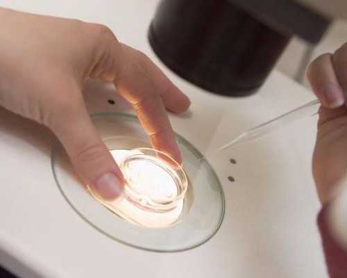 41岁做试管成功率高吗&2026找代孕,备孕期间女性什么时候吃叶酸片会比较好？