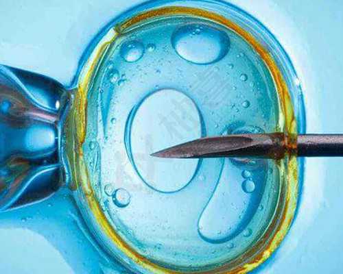 武汉试管代怀平台,武汉试管费用(武汉做试管费用需要多少)