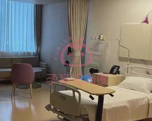 育儿嫂证书在哪里考_怀孕初期不能吃什么,体内、体外精子存活时间各不同,备