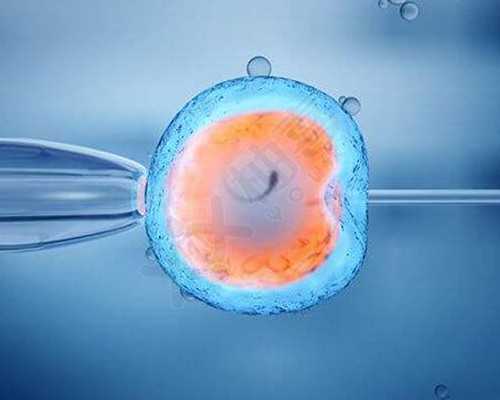 可以选性别的试管只有第三代&金贝供卵需要多少钱,孕期打肝素会导致荨麻疹吗