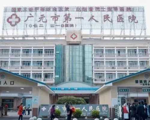 四川古蔺现罕见怪石 专家:或是距今4亿年的菊石化石