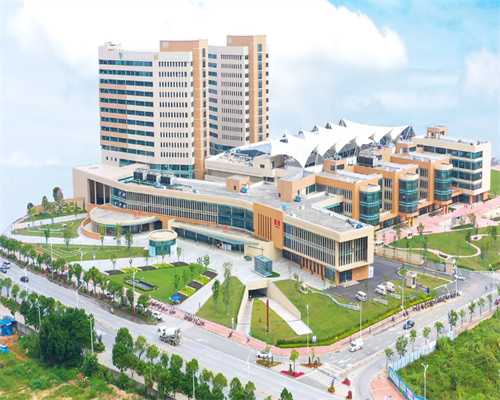 武汉试管代怀孕,武汉试管费用(武汉做试管费用需要多少)