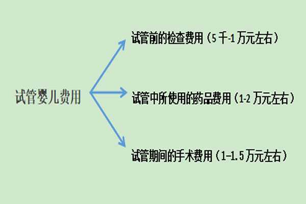 石嘴山借卵子和怀孕者有血缘_在贵州清镇市做一次助孕试管婴儿要花多少钱？