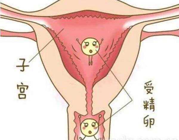 顺义借卵生子最大年龄_泰国试管婴儿可以科学避免生化妊娠吗?