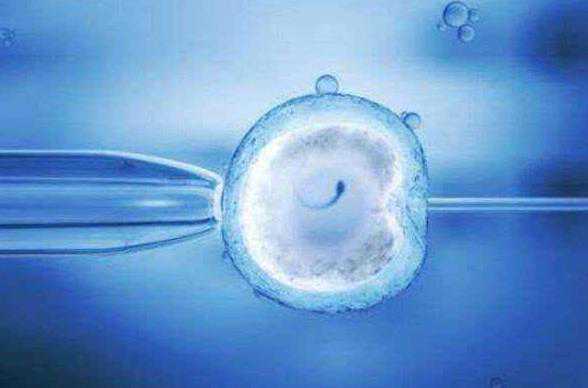 武汉代生小孩可靠吗 武汉试管婴儿取卵后内膜会越来越薄吗 ‘b超孕囊形状看男