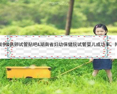 48岁高龄试管成功案例&供卵试管贴吧&湖南省妇幼保健院试管婴儿成功率，附2