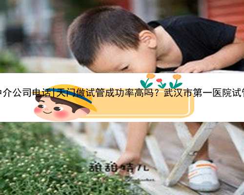 武汉代孕中介公司电话|天门做试管成功率高吗？武汉市第一医院试管成功率？